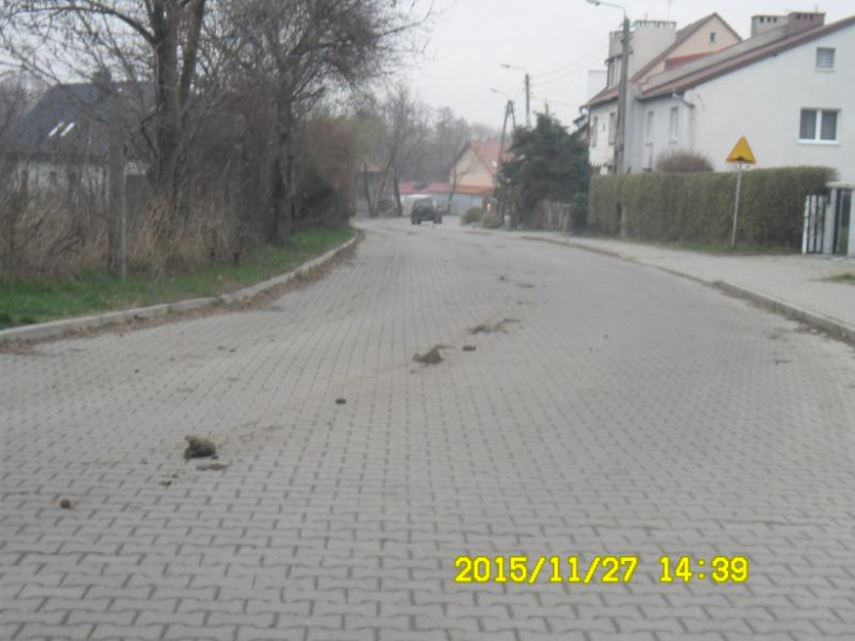 zabrudzenie na drodze