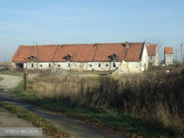 Pozostałości zabudowań folwarcznych