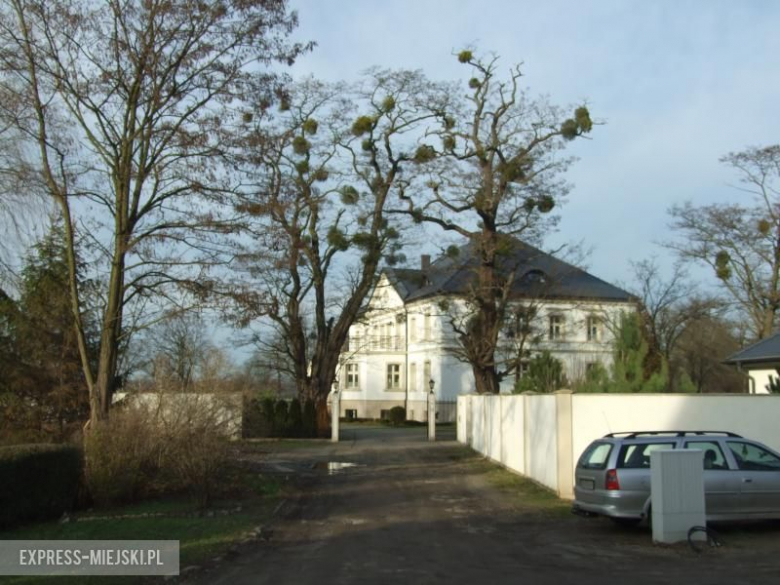 Widok pałacu i dojazdu od strony południowo-zachodniej 