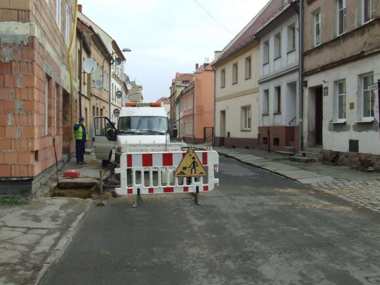 Fragment drzewa wykopano na Świdnickiej