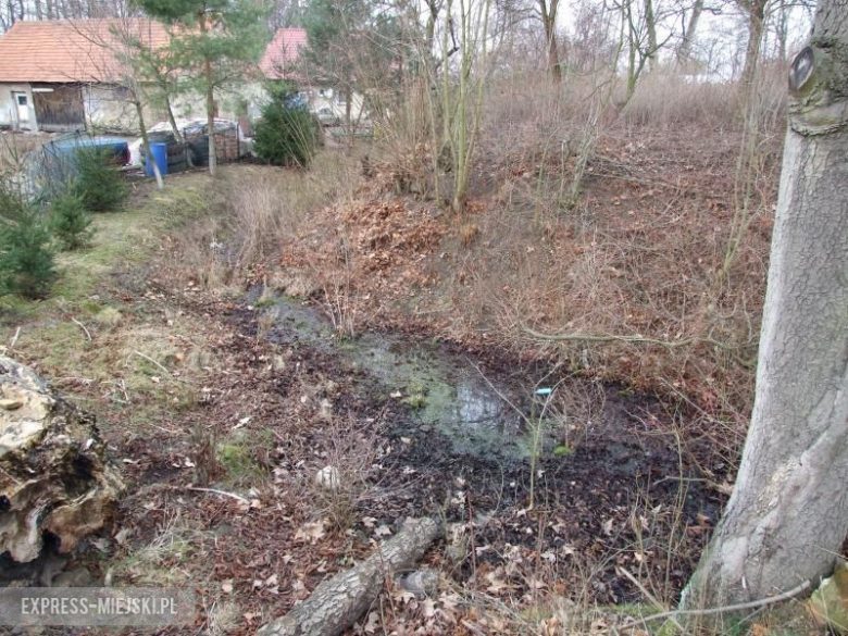 Fragment fosy wokół dawnego pałacu 