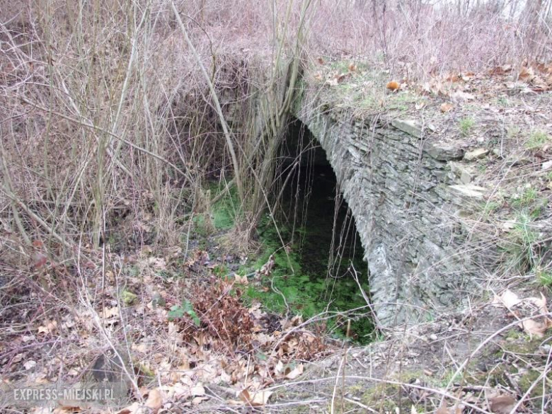 Relikty mostu prowadzącego do pałacu 