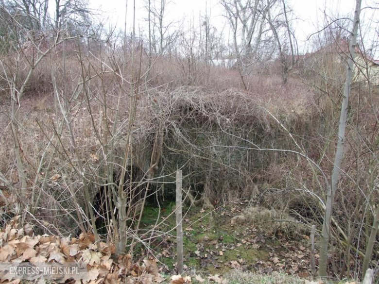 Relikty mostu prowadzącego do pałacu 