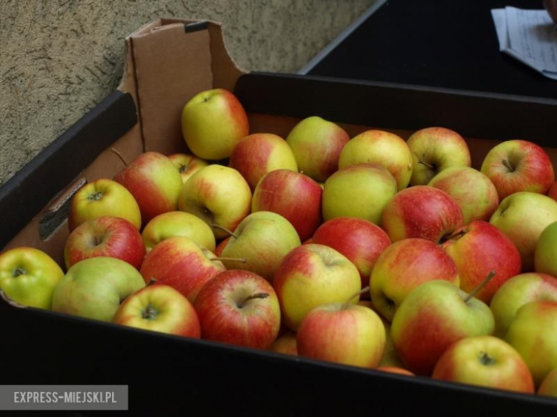 PCK rozdało jabłka w Środzie Śląskiej