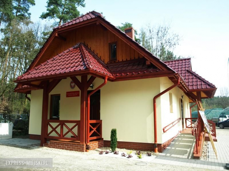 Święto Lasu w Mrozowie