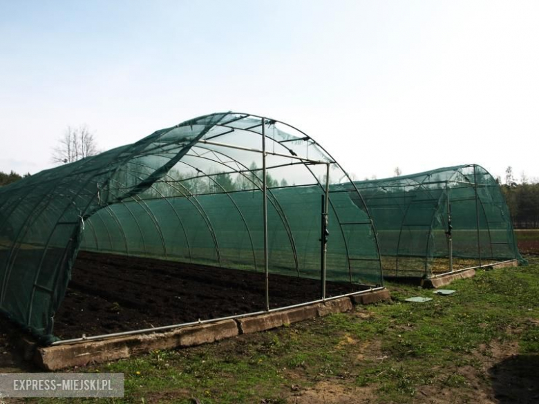 Święto Lasu w Mrozowie