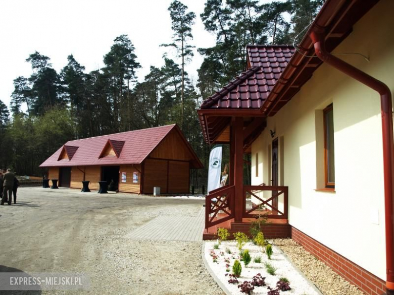 Święto Lasu w Mrozowie