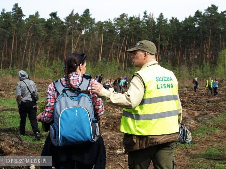 Święto Lasu w Mrozowie