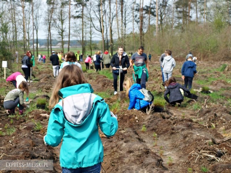 Święto Lasu w Mrozowie