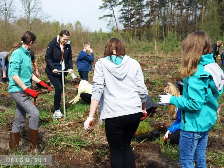 Święto Lasu w Mrozowie