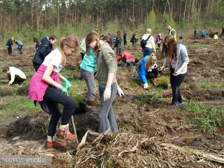 Święto Lasu w Mrozowie