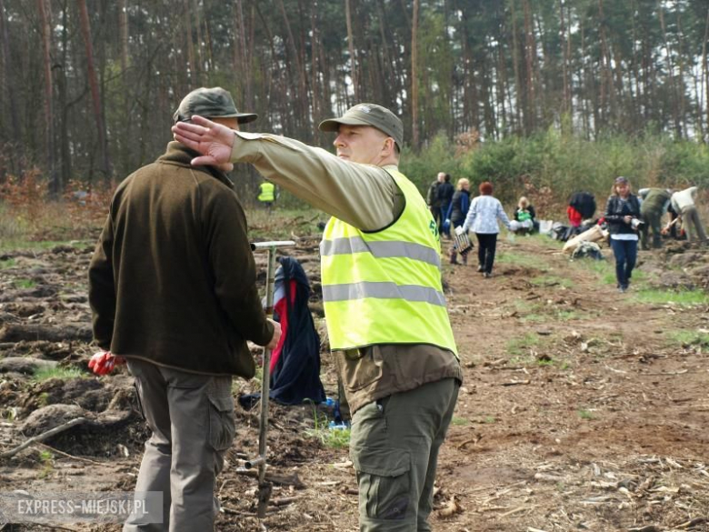 Święto Lasu w Mrozowie