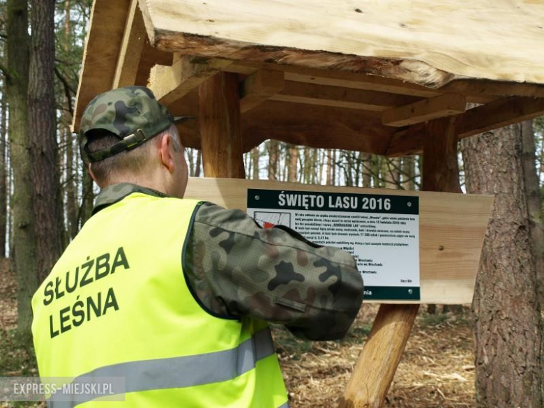 Święto Lasu w Mrozowie