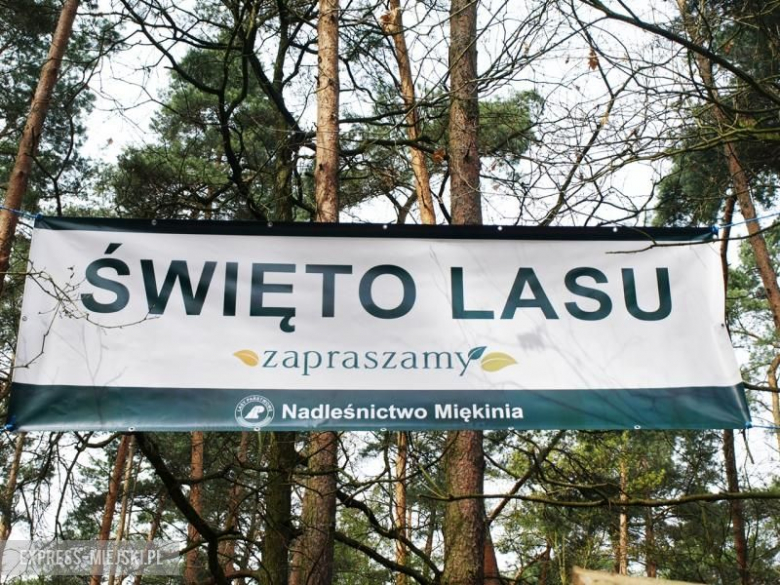 Święto Lasu w Mrozowie