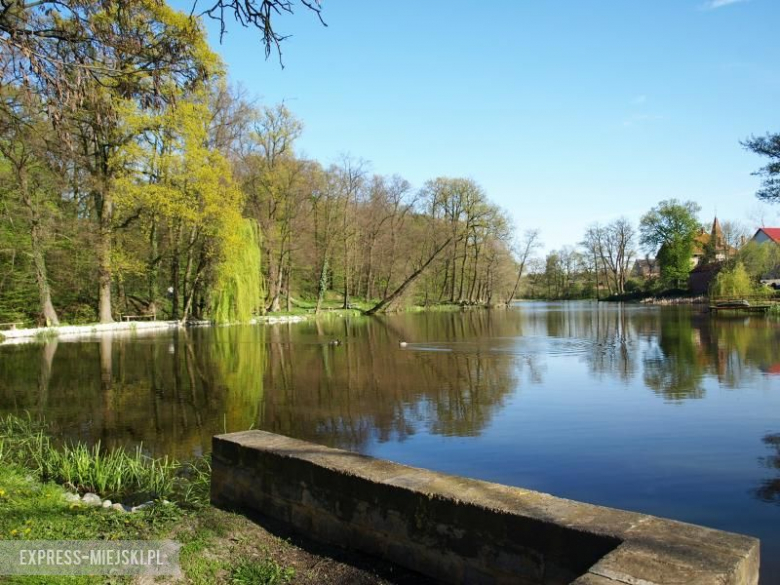 Uczestnicy sprzątania Wilczkowa