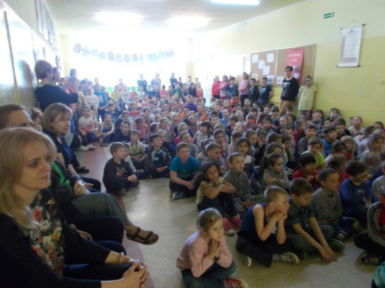 Adopcja konia Walentego