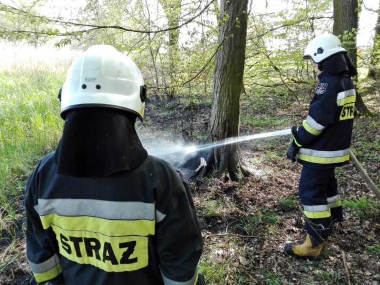 Pożar trawy w Lenartowicach