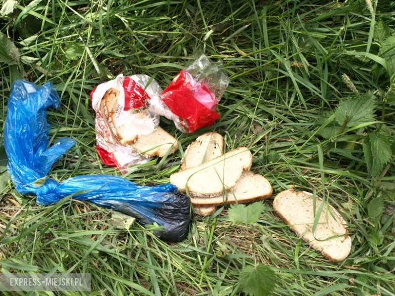 Dzikie wysypisko śmieci