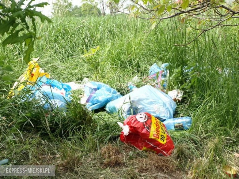 Dzikie wysypisko śmieci