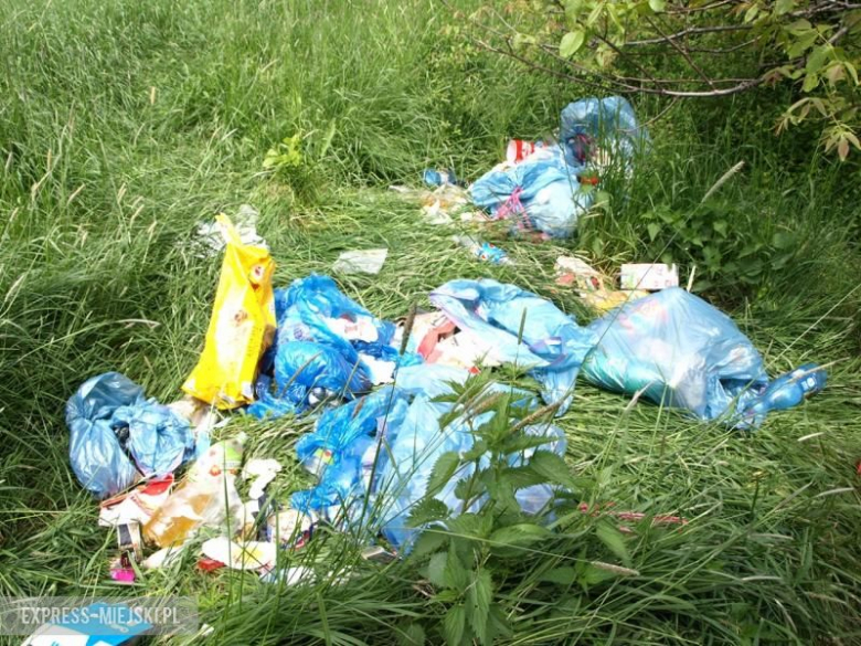 Dzikie wysypisko śmieci