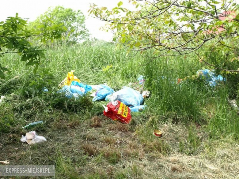 Dzikie wysypisko śmieci