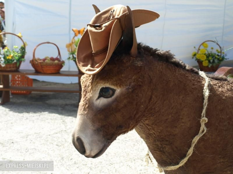 Cygański tabor w Środzie Ślaskiej