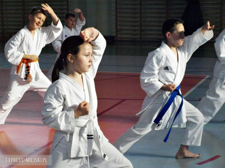 Karate Budokan sekcja Środa Śląska
