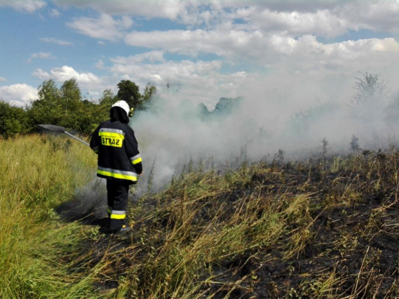 Pożar nieużytków