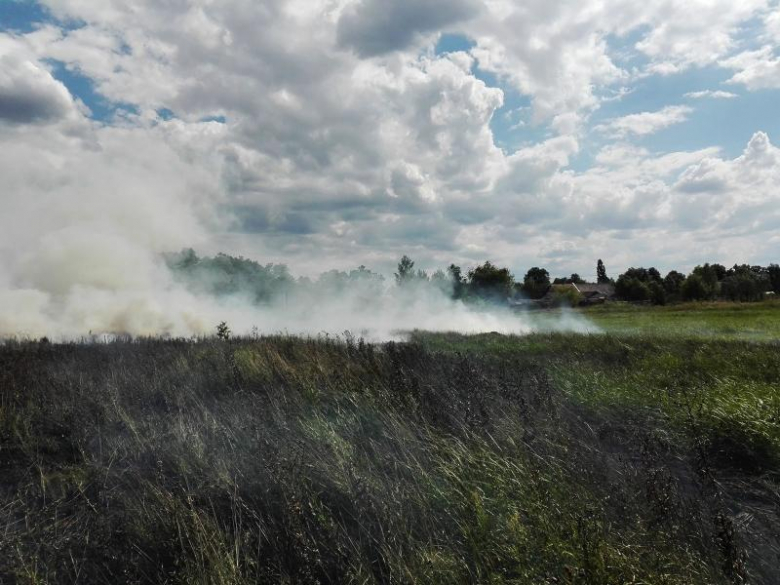 Pożar nieużytków