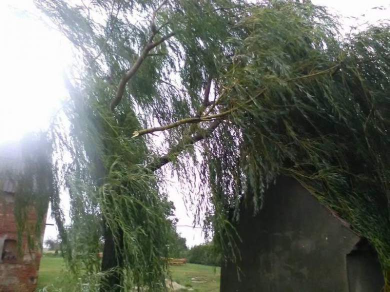 Interwencje strażaków