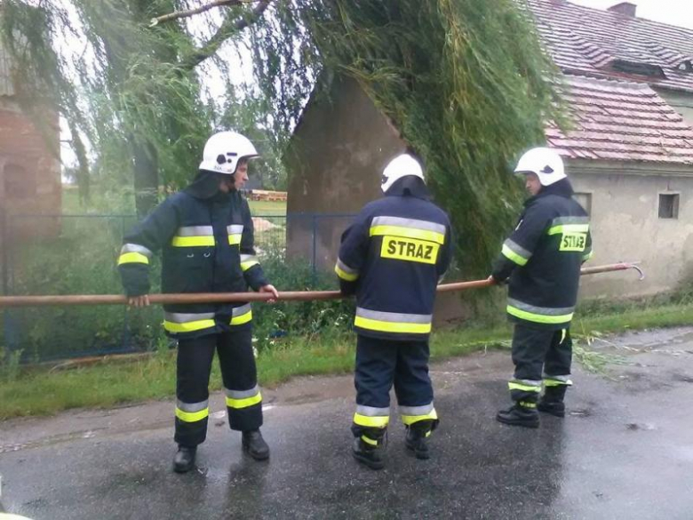 Interwencje strażaków