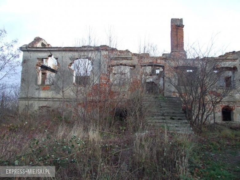 Ruiny dworu w Siemidrożycach