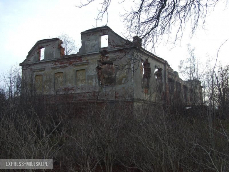 Ruiny dworu w Siemidrożycach