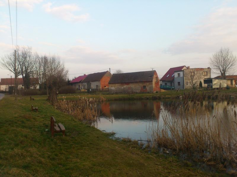 Prace przy renowacji stawu - archiwum