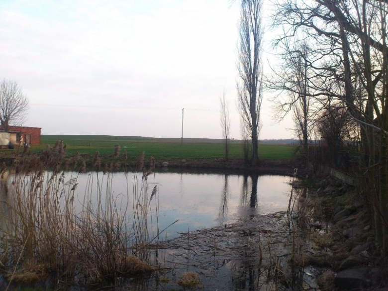 Prace przy renowacji stawu - archiwum