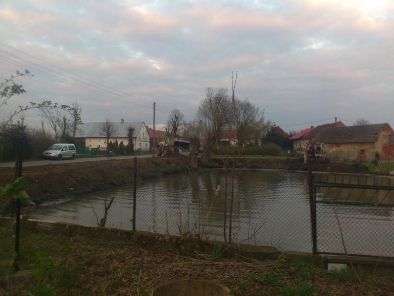 Prace przy renowacji stawu - archiwum