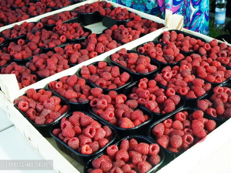 Festyn dożynkowy we Wróblowicach