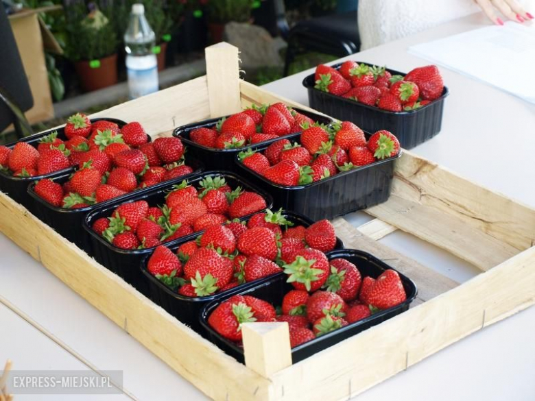 Festyn dożynkowy we Wróblowicach