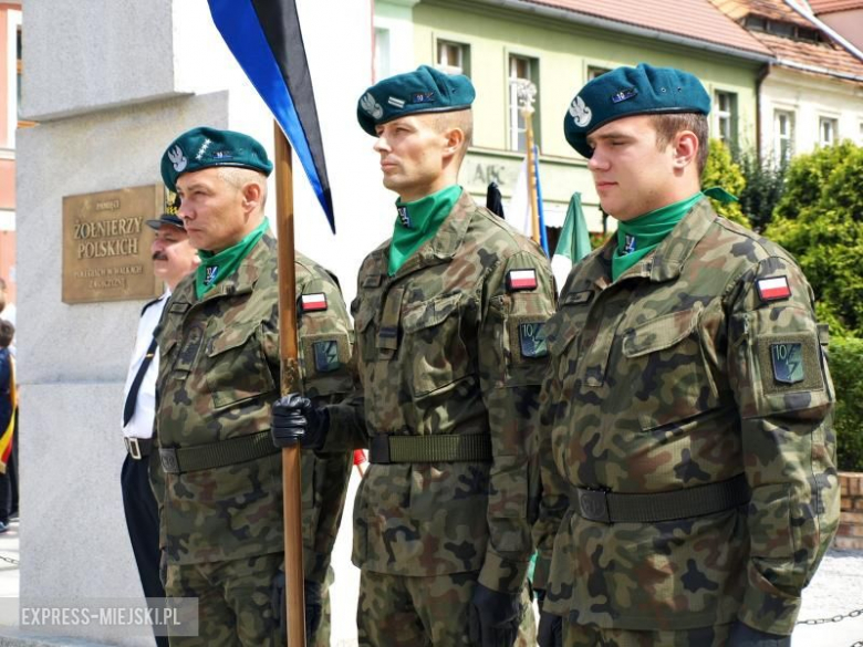 Obchody Dnia Wojska Polskiego w Środzie Śląskiej
