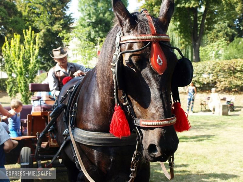 Festyn policyjny dla najmłodszych
