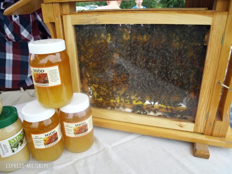 Gminne dożynki w Rusku