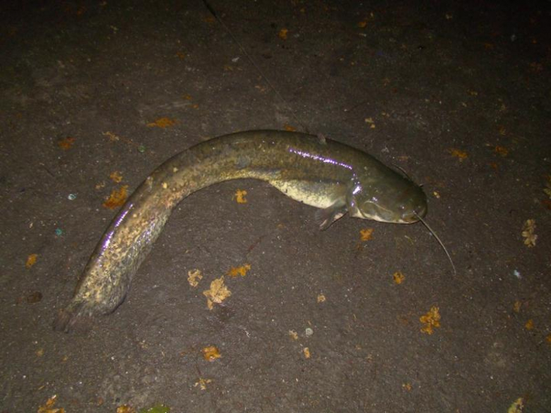 Zawody wędkarskie w Wilczkowie