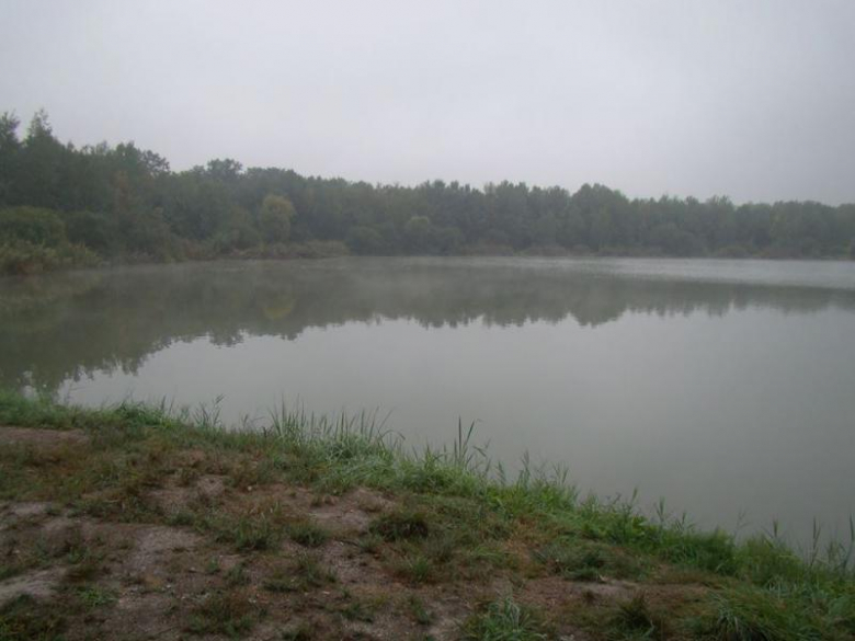 Zawody wędkarskie w Wilczkowie