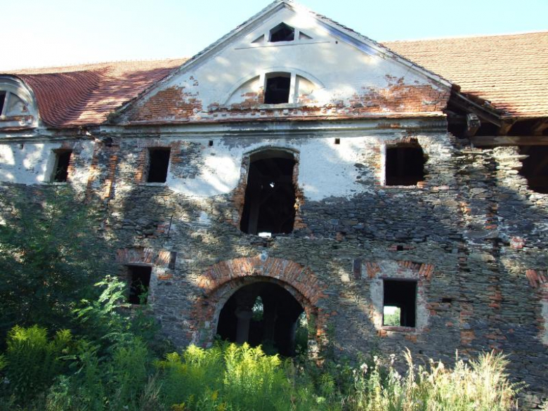 Pseudoryzalit w środkowej partii południowej fasady pałacu