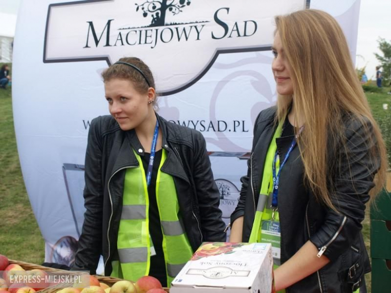 I bieg o Skarb Średzki