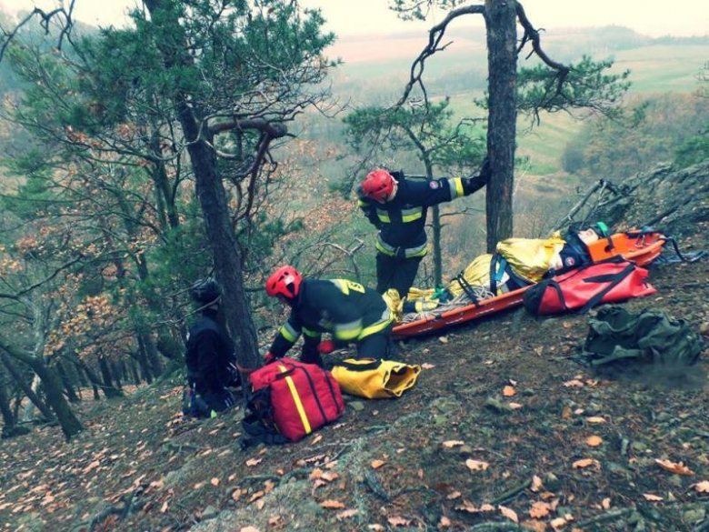Zajęcia podczas szkolenia