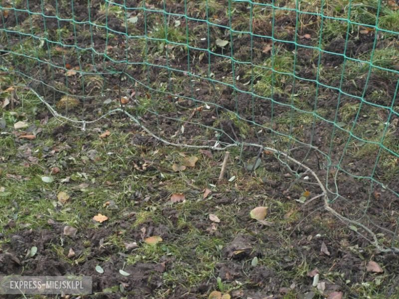 Zniszczone boisko w Szczepanowie
