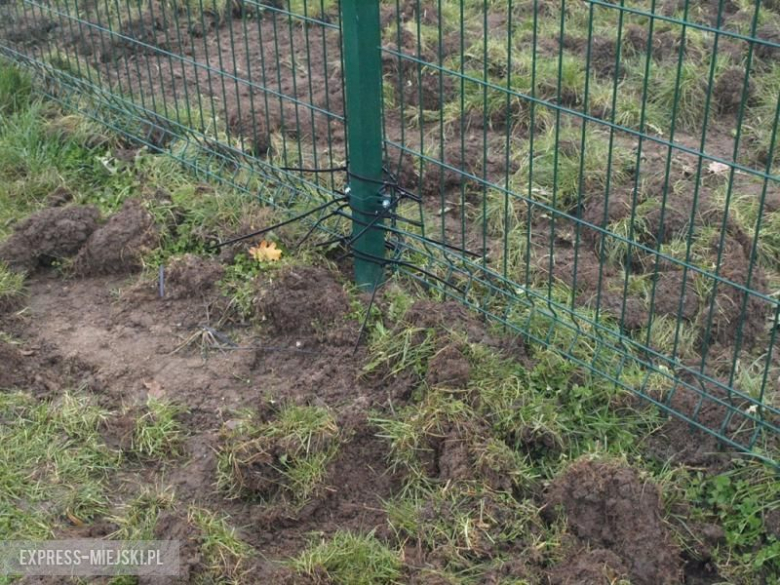 Zniszczone boisko w Szczepanowie