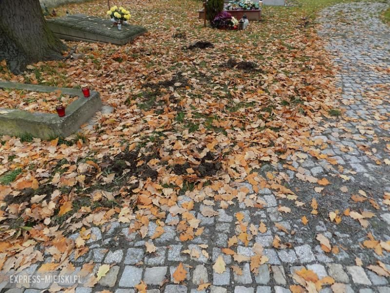 Zniszczone boisko w Szczepanowie