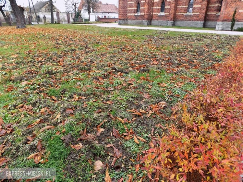 Zniszczone boisko w Szczepanowie